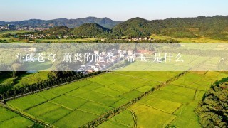 斗破苍穹 萧炎的陀舍古帝玉 是什么