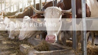 眉山有没有转让养殖场的