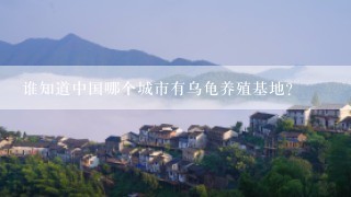 谁知道中国哪个城市有乌龟养殖基地？