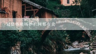 冠县养殖场护栏网那有卖