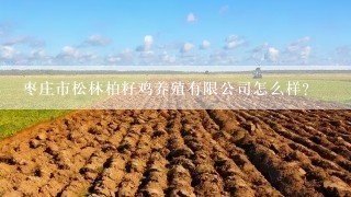 枣庄市松林柏籽鸡养殖有限公司怎么样？