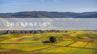 怎样吊笼养殖东方螺？