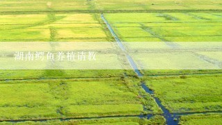 湖南鳄鱼养植请教