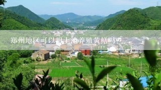 郑州地区可以用土池养殖黄鳝吗？