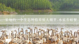 某地的一个生态种植养殖大棚里,水底养螃蟹,水面漂浮着无土栽培的某种蔬菜,而水面上方,黄瓜藤枝枝蔓蔓?蔬菜和黄瓜生长所需的...