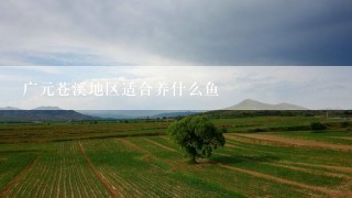 广元苍溪地区适合养什么鱼