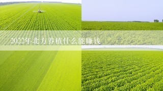 2022年北方养植什么能赚钱