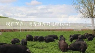 现在在农村搞养殖养鸡能赚钱吗？