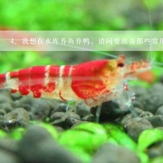 我想在水库养鱼养鸭，请问要准备那些常用的药品？