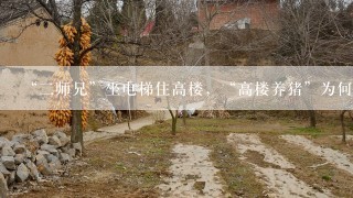 “二师兄”坐电梯住高楼，“高楼养猪”为何会成为流