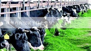 咖喱鸡肉包属于什么类型？