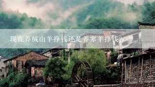 现在养绒山羊挣钱还是养寒羊挣钱？