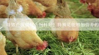 母猪产前喂什么饲料好？特别是能增加营养的？