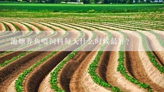 池塘养鱼喂饲料每天什么时候最好?