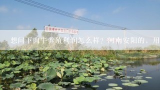 想问下肉牛养殖利润怎么样？河南安阳的，用麦秸秆，玉米秸秆可以么？