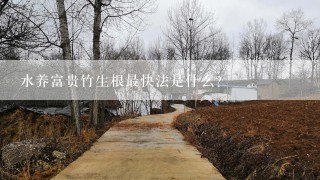 水养富贵竹生根最快法是什么?