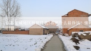 江苏盐城地区种植什么?养殖什么最挣钱? 懂的人详细