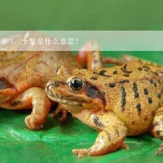 土鳖是什么意思？