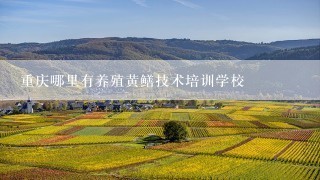 重庆哪里有养殖黄鳝技术培训学校