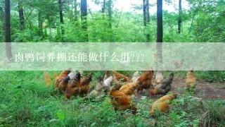 肉鸭饲养棚还能做什么用???