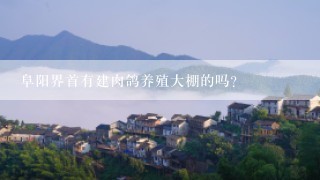 阜阳界首有建肉鸽养殖大棚的吗？