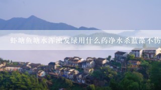 虾塘鱼塘水浑浊发绿用什么药净水杀蓝藻不伤水草不伤鱼