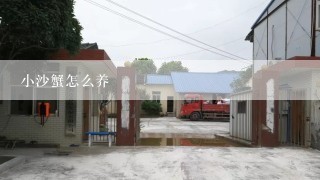 小沙蟹怎么养