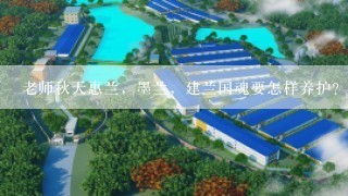 老师秋天惠兰，墨兰，建兰国魂要怎样养护？