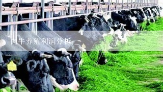 肉牛养殖利润分析