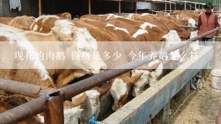 现在的肉鹅 价格是多少 今年养鹅怎么样