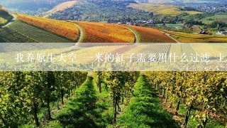 我养原生天空 一米的缸子需要用什么过滤 上滤 侧滤 底滤 哪个比较适合养虾？