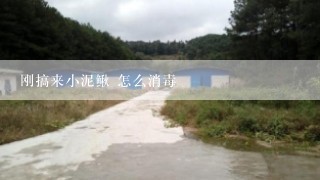 刚搞来小泥鳅 怎么消毒