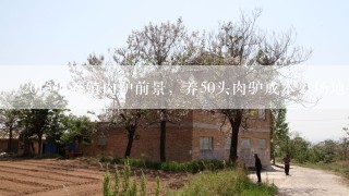 2015年养殖肉驴前景，养50头肉驴成本，场地多少