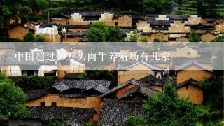 中国超过30万头肉牛养殖场有几家