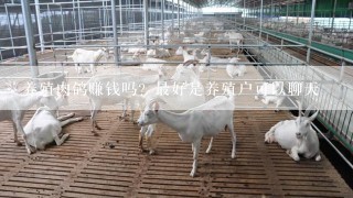 养殖肉鸽赚钱吗？最好是养殖户可以聊天