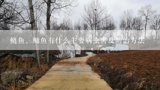 鲢鱼、鳙鱼有什么主要病虫害及防治方法