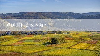 蝾螈用什么水养殖？