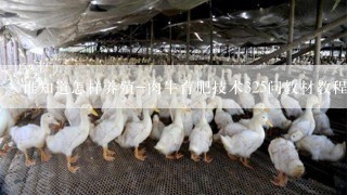 谁知道怎样养殖-肉牛育肥技术325问教材教程书