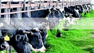 养殖肉鸽子需要办理什么证件？去哪些部门办理