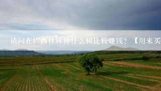 请问在广西桂林种什么树比较赚钱？【用来买木材的】