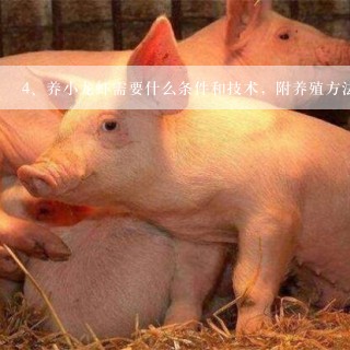 养小龙虾需要什么条件和技术，附养殖方法和环境