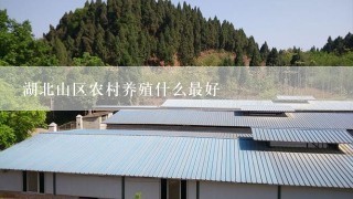 湖北山区农村养殖什么最好