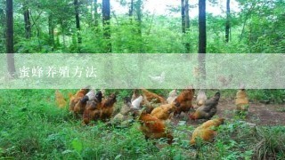 蜜蜂养殖方法