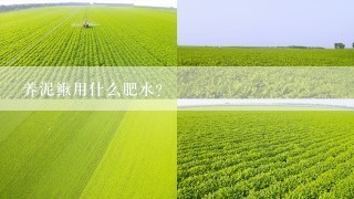 养泥鳅用什么肥水？