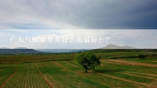 广东气候家里养什么鱼最好？？