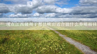 现在江西赣州于都县峡山适合搞什么养殖而且又好赚钱？…