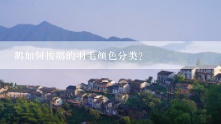 鹅如何按鹅的羽毛颜色分类？