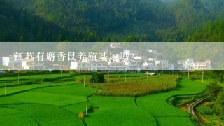 江苏有麝香鼠养殖基地吗?