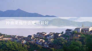 种油菜施什么肥料最好