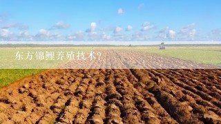 东方锦鲤养殖技术？